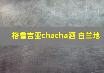 格鲁吉亚chacha酒 白兰地